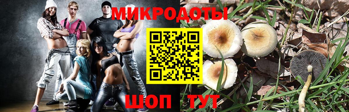 Дербент  Псилоцибиновые грибы мицелий  дарнет шоп  Вход с VPN 