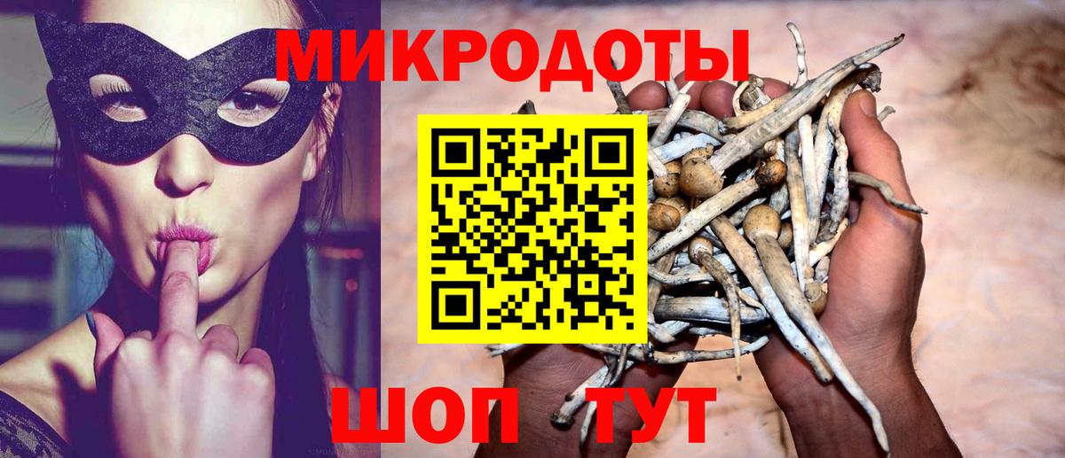 Псилоцибиновые грибы прущие грибы Дербент